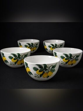 Set of 5 Royal Norfolk Lemons Tuscany Greenbrier Cereal Soup Bowls – 5.5”
